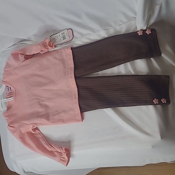 Little Lass Top and Pant Pink/Brown 24 Mos New